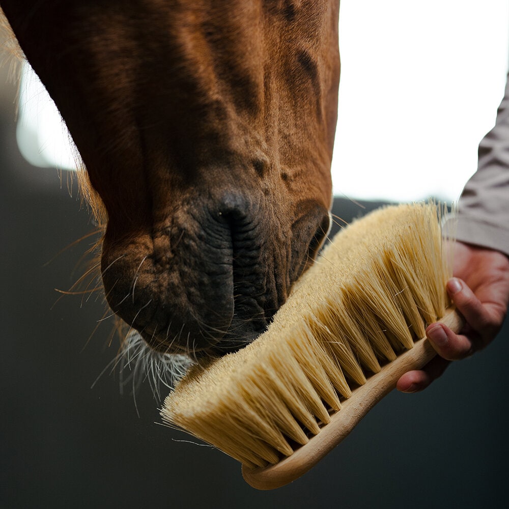 Midjeborste Mexfiber 7cm borst