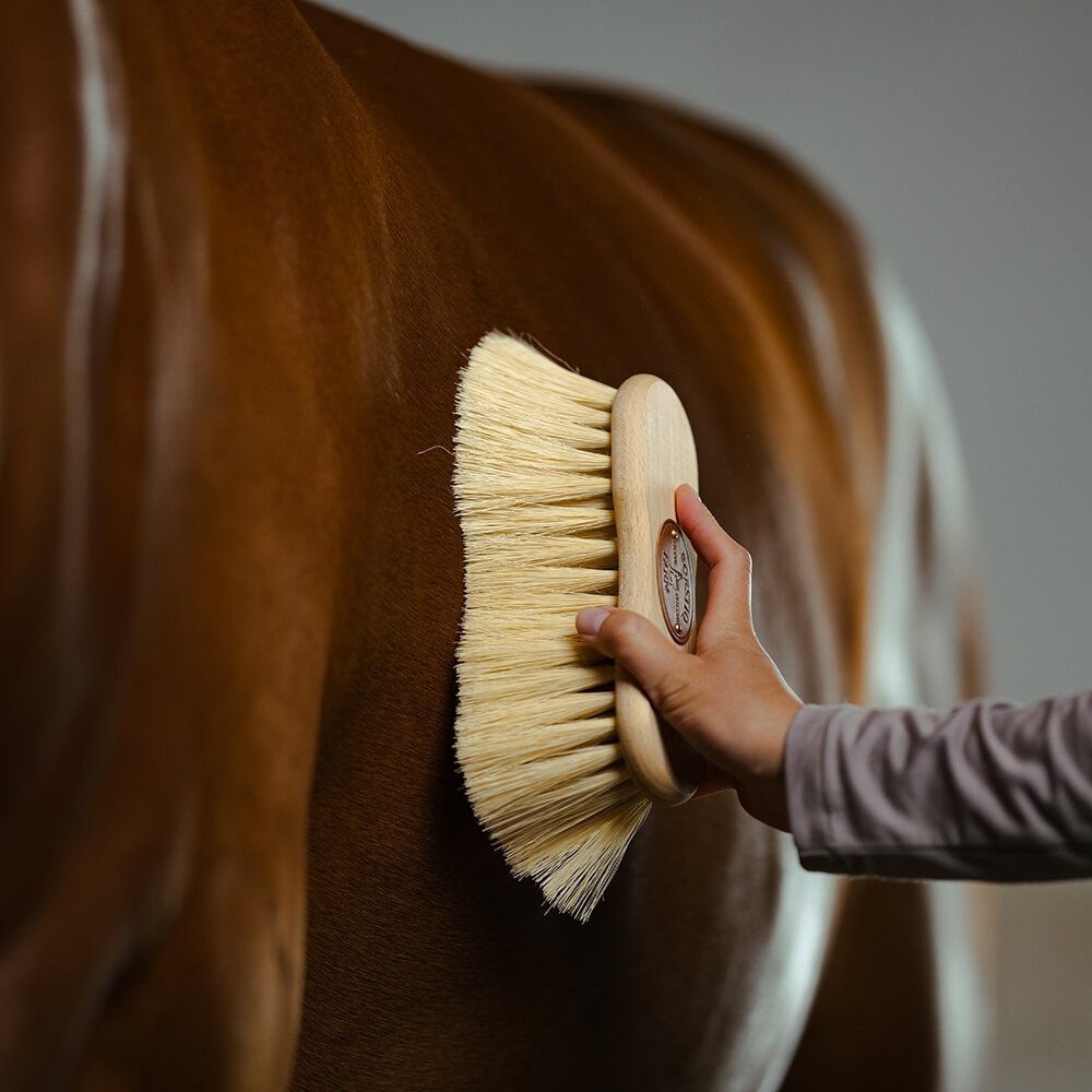 Midjeborste Mexfiber 7cm borst