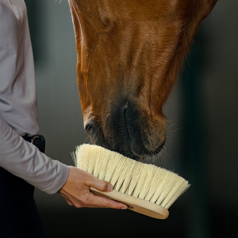 Midjeborste Mexfiber 7cm borst