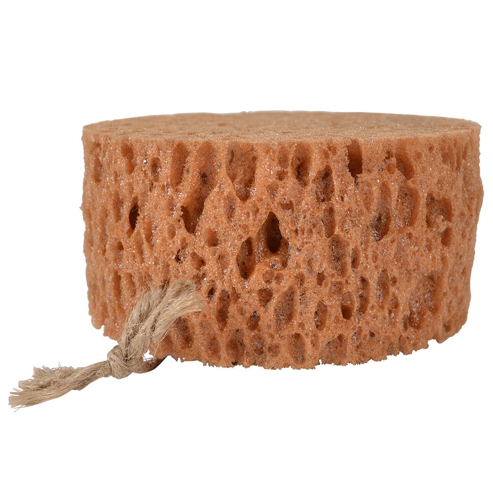 Borstiq Groomingsvamp