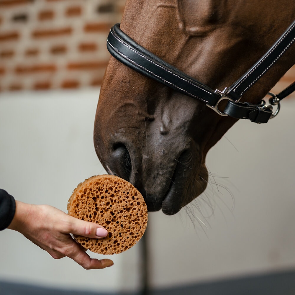 Borstiq Groomingsvamp